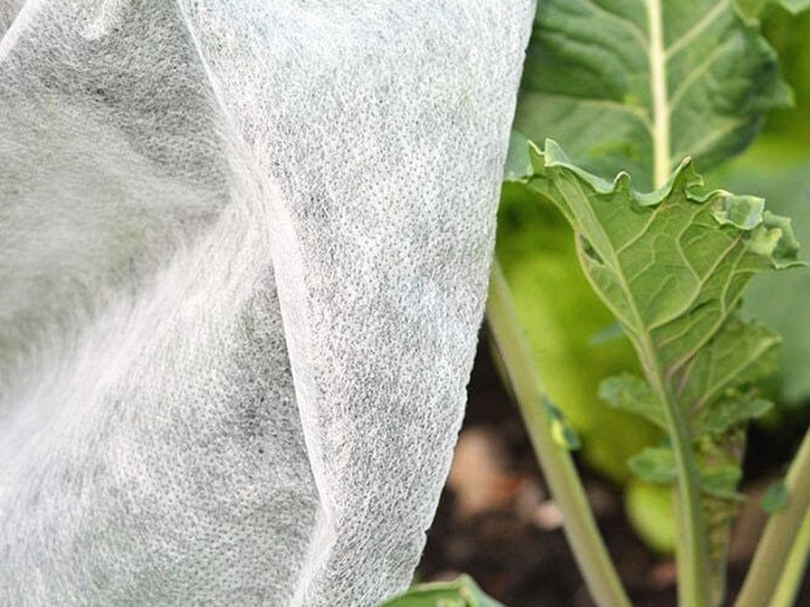 Biela netkaná textilie na ochranu rastlín