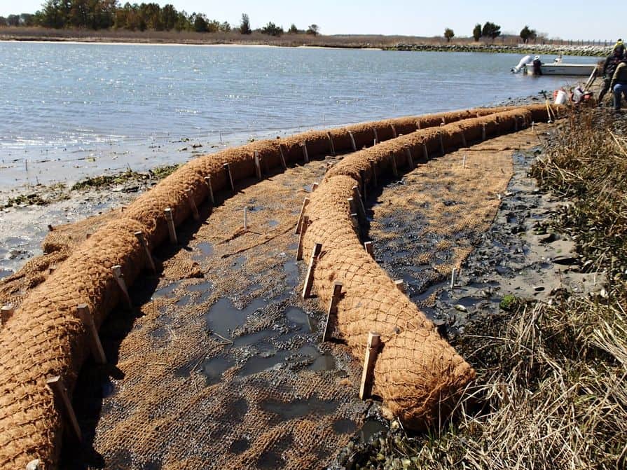 Kokosové válce Coir Logs na brehu mora