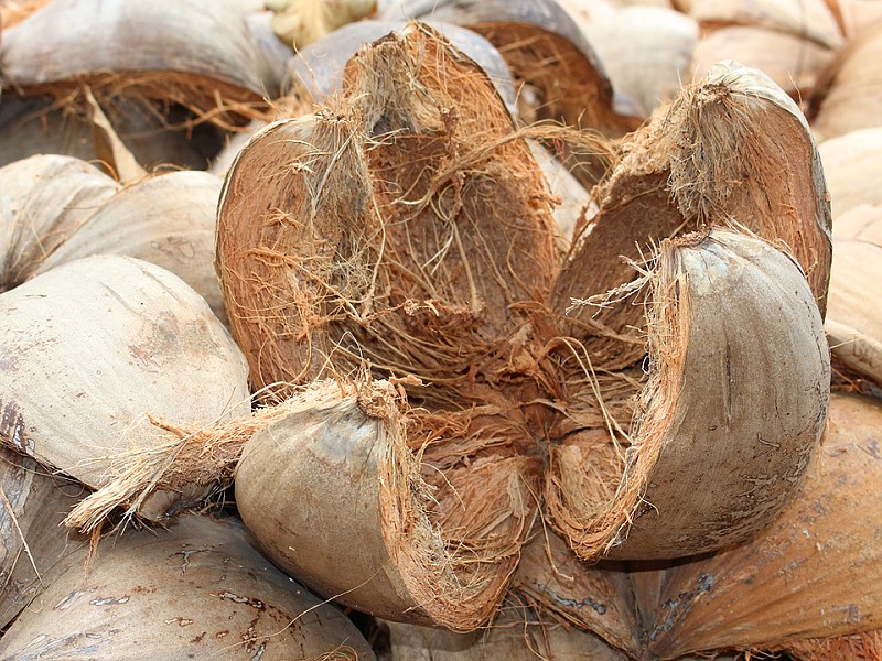 Orechy na výrobu kokosového substrátu
