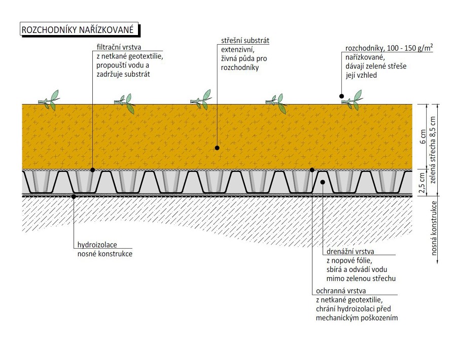 Skladba zelenej strechy s rozchodníkovými odriezkami