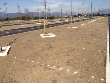 Guttagarden (115 t/m²)