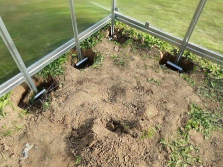 Lucius 3×6 m PC 4 mm