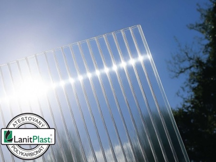 LIMES Viva V6 PC 6 mm