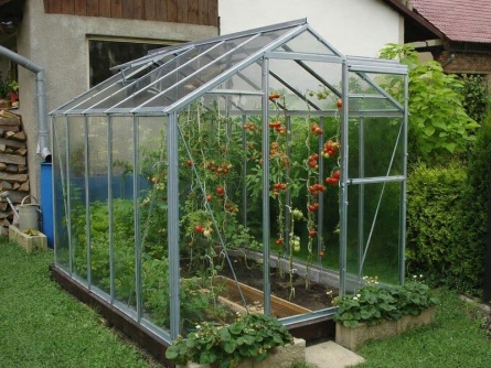 LIMES Viva V6 PC 4 mm