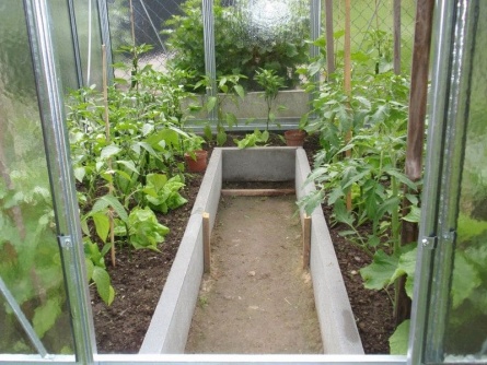 LIMES Viva V6 PC 4 mm