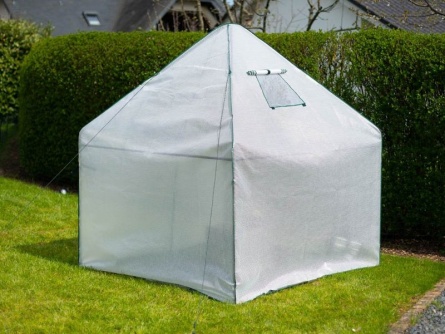 Peperoni 1,8 x 1,8 m