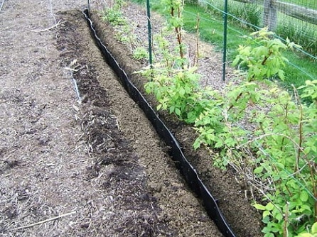 Root barrier
