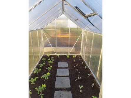 Vitavia Target 3800 PC 4 mm