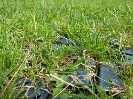 Guttagarden Terragrid