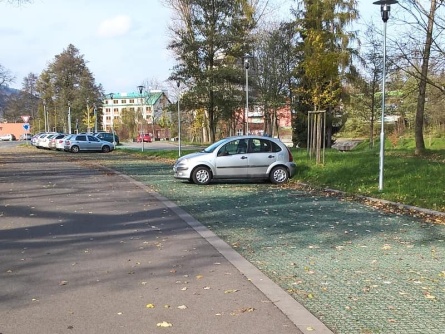 Geopave PROFI (400 t/m²)