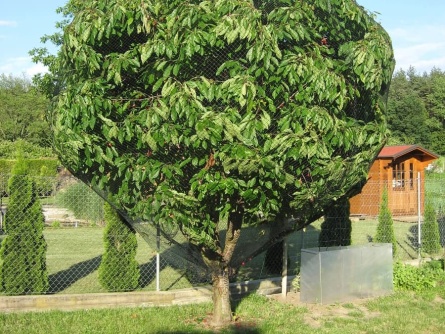 Birdnet R (25 g/m², oko 20×20 mm)