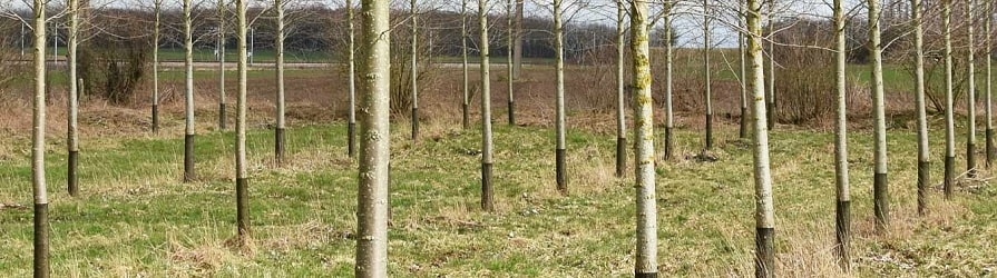 Sieť proti zvieratam na kmenách stromů