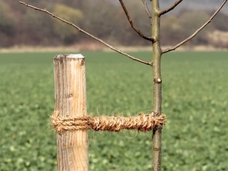 Coir Rope