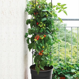 Tomato Grower