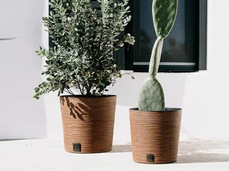 Furu Round Low ECO Wood