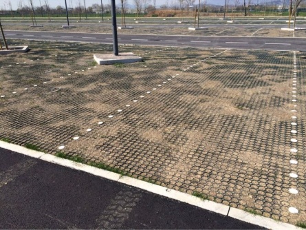 Guttagarden (115 t/m²)