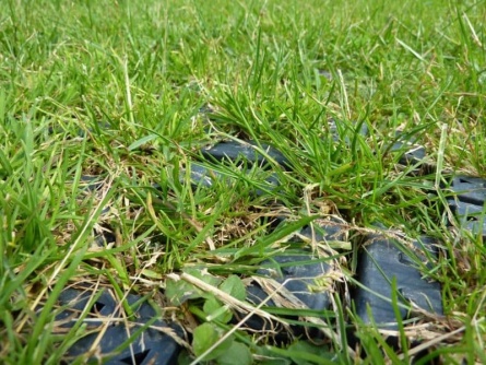 Guttagarden Terragrid