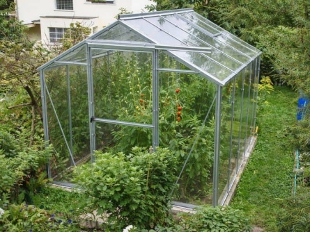 LIMES Viva V6 PC 4 mm