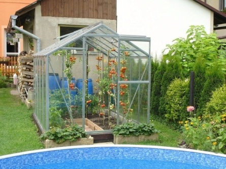 LIMES Viva V6 PC 4 mm