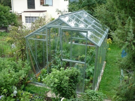 LIMES Viva V6 PC 4 mm