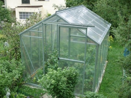 LIMES Viva V6 PC 6 mm