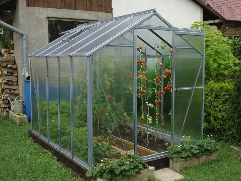 Polykarbonátový skleník – LIMES Viva V6 (PC 6 mm)