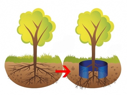 Root barrier