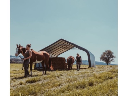 ShelterLogic Run-In-Shed 6,7 × 6,1 m zelený