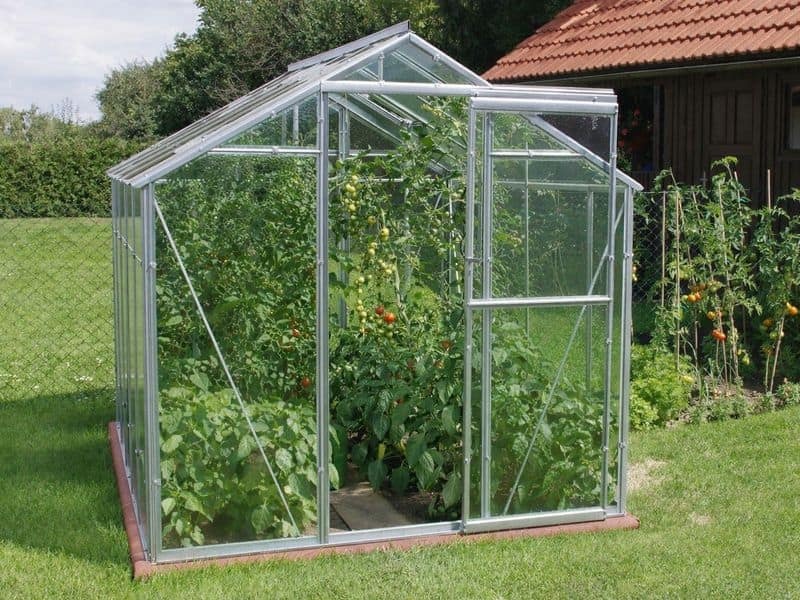 Skleník z polykarbonátu LIMES Viva V6/2, š. 1,97 m × d. 2 m, PC 4 mm