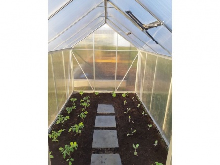 Vitavia Target 2500 PC 4 mm