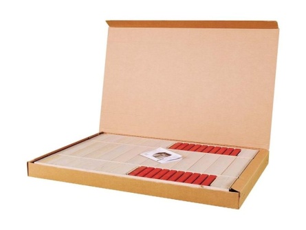 Wendi Toys Crocodile